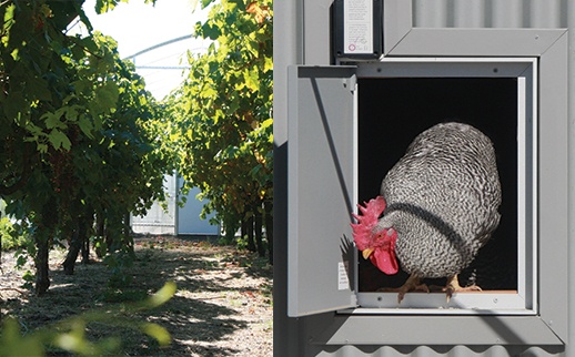 Farmstead, Restaurant Construction, Poultry House